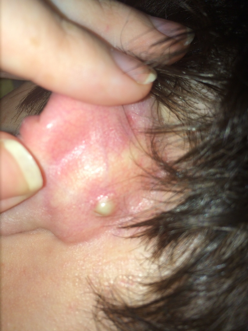Illustration for article titled Look at this gross thing and tell me what it is!